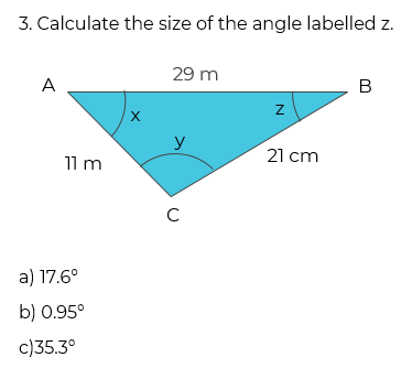 An image in a quiz