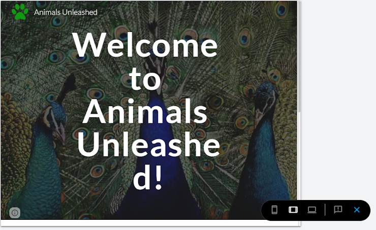 An image in a quiz