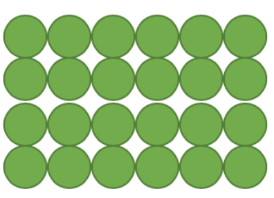 An image in a quiz
