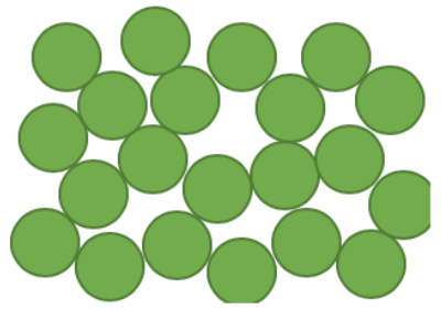 An image in a quiz