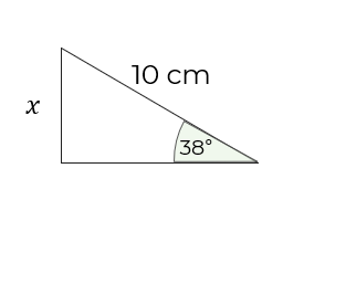 An image in a quiz