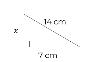 An image in a quiz