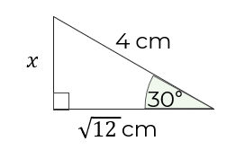 An image in a quiz