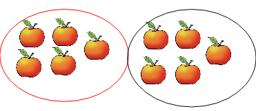 An image in a quiz