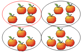 An image in a quiz