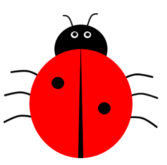 An image in a quiz