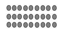 An image in a quiz