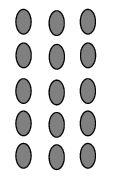 An image in a quiz