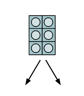 An image in a quiz