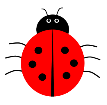 An image in a quiz
