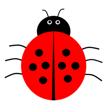 An image in a quiz