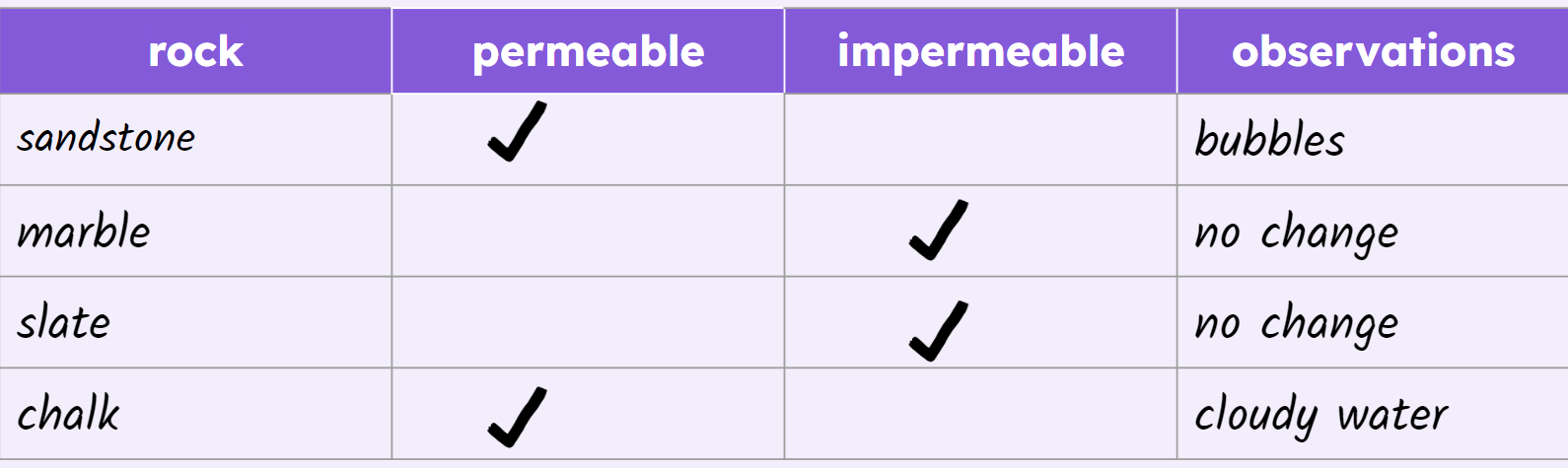 An image in a quiz