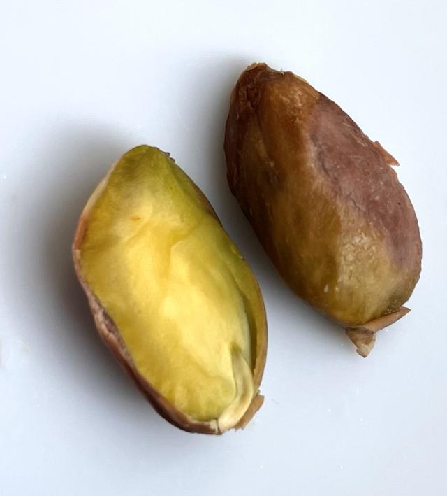 What does a seed contain?