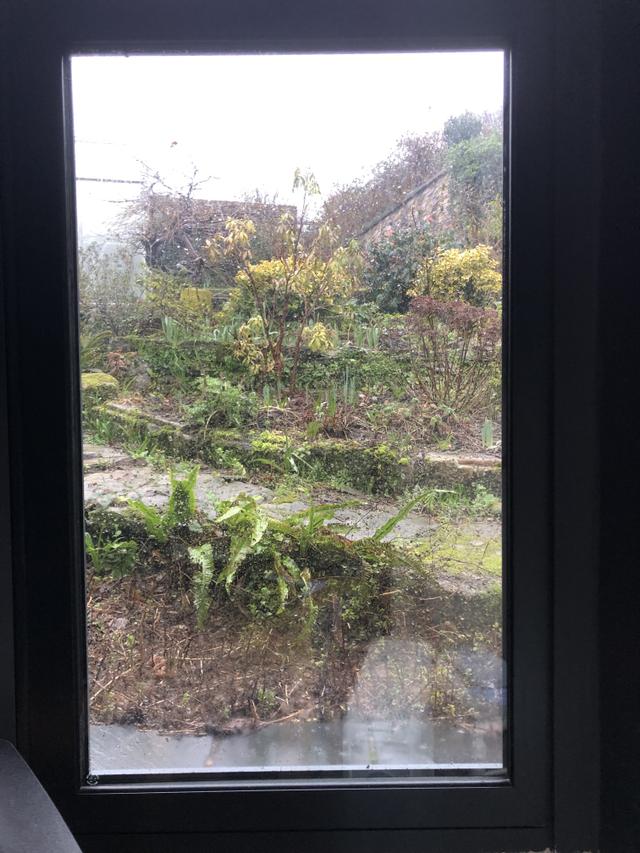 Why is a window usually made from glass?