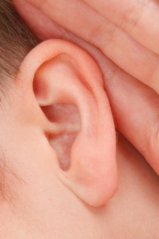 Sounds heard through a solid are __________ than sounds heard through a liquid.
