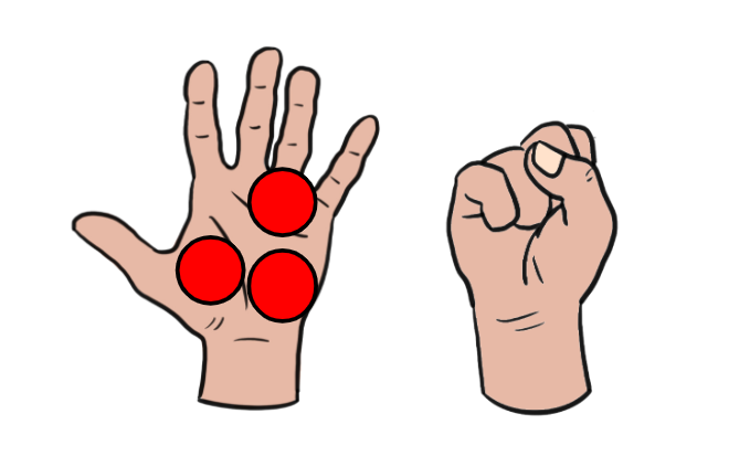 An image in a quiz