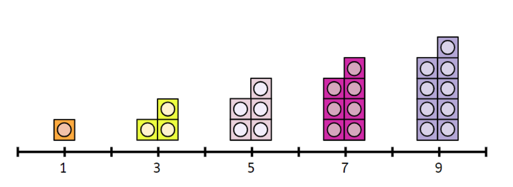 An image in a quiz