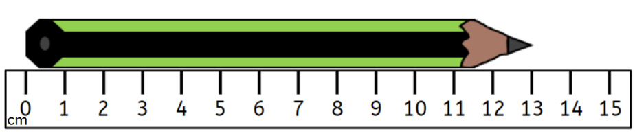 An image in a quiz