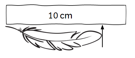 An image in a quiz