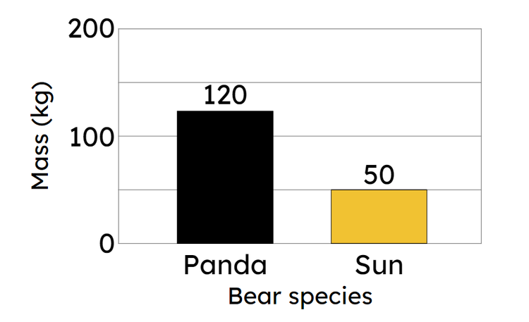 An image in a quiz