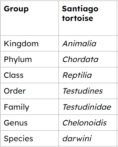 What is the binomial name for the Santiago tortoise?