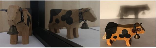 Which of these would show the features of the object causing it?