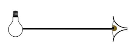 An image in a quiz