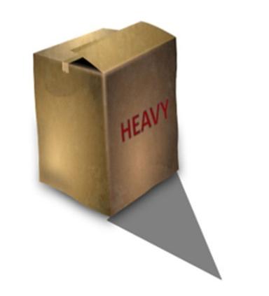 An image in a quiz