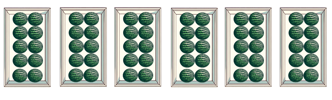An image in a quiz