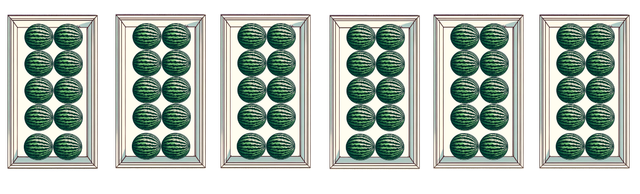 Which of the following describes the groups shown in the picture?