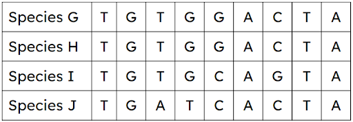 An image in a quiz