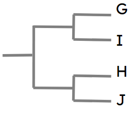 An image in a quiz