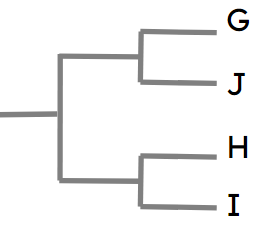An image in a quiz