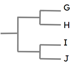 An image in a quiz