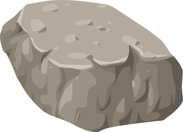 An image in a quiz