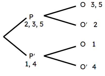 An image in a quiz