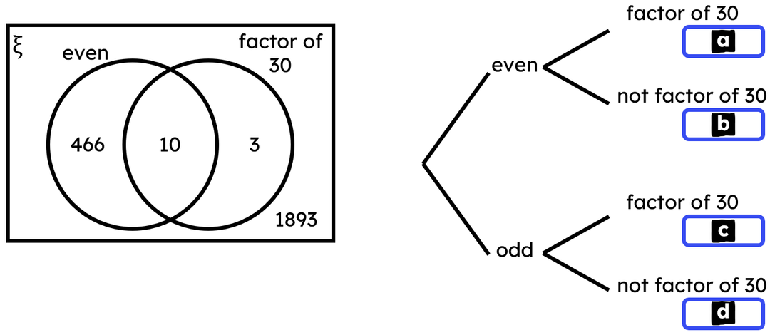 An image in a quiz