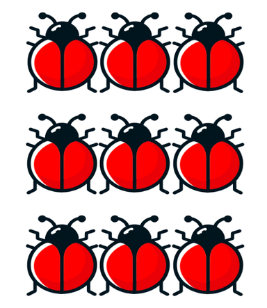 An image in a quiz
