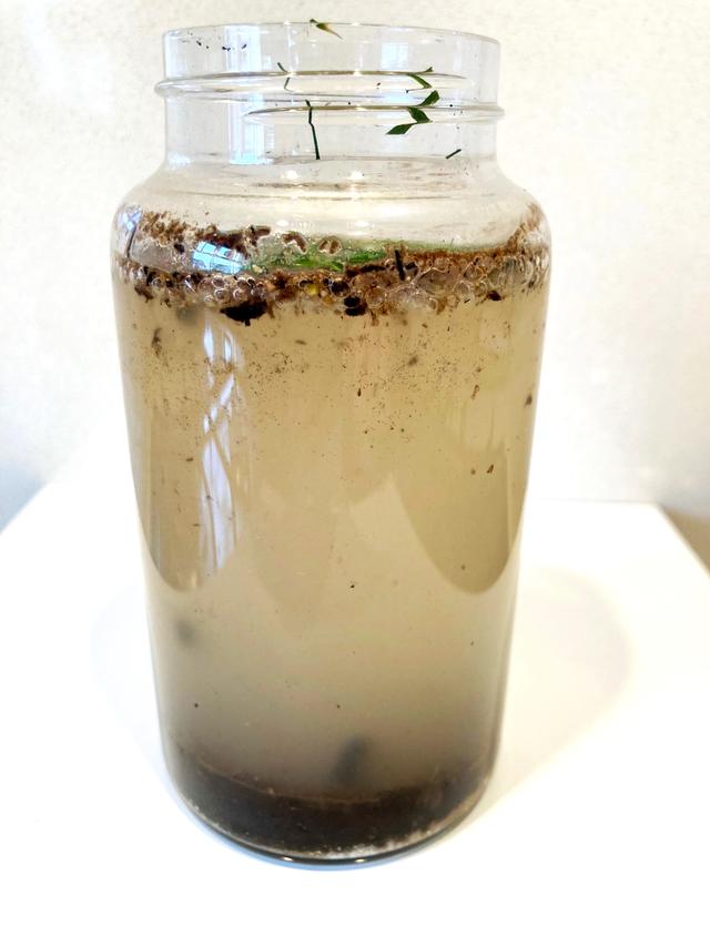 Look at the image of soil and water in a jar. Order the layers from what would settle at the top of jar to the bottom.