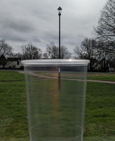 An image in a quiz