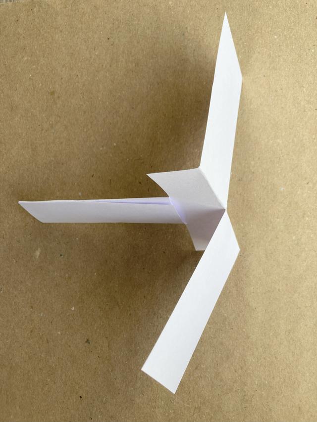 Match the variables to their description for an investigation into how wing width affects the distance a seed travels.