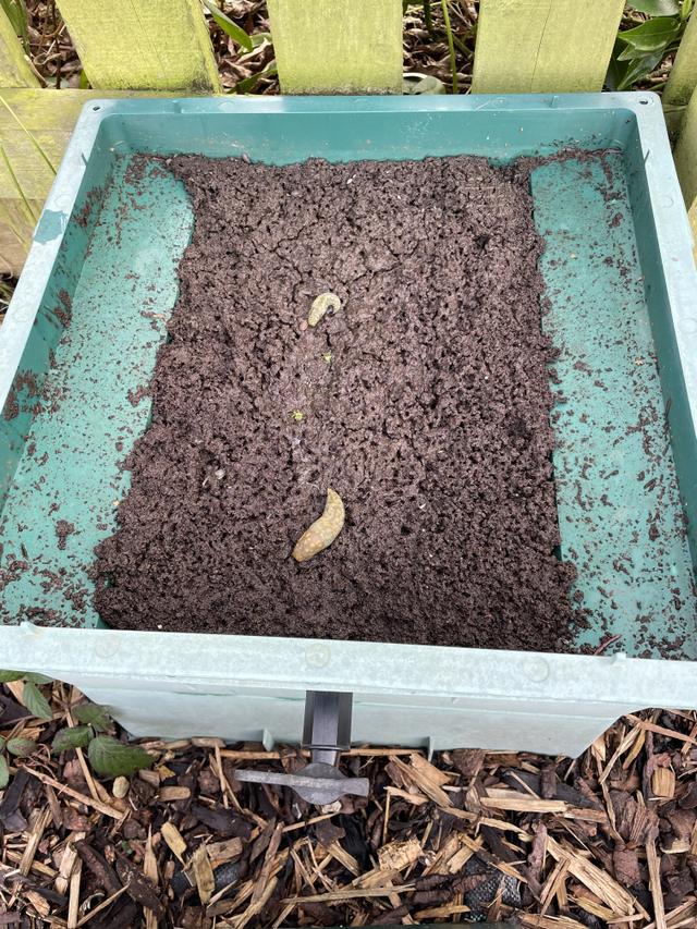 Which of these things does compost not need?