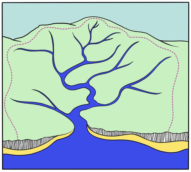 An image in a quiz