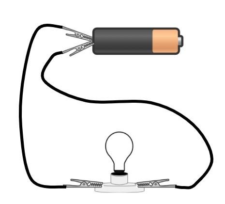An image in a quiz