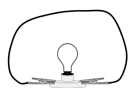 An image in a quiz