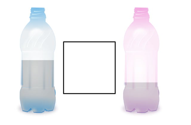 An image in a quiz