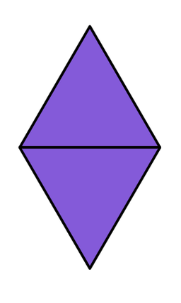 An image in a quiz