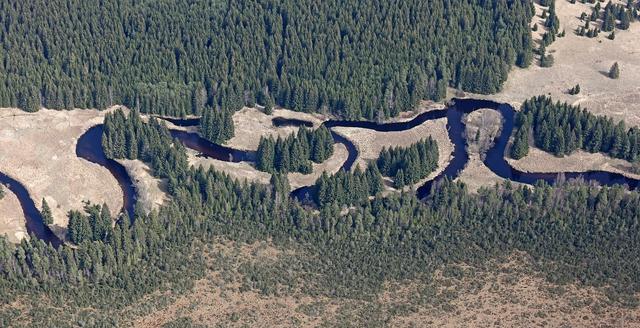 meander
