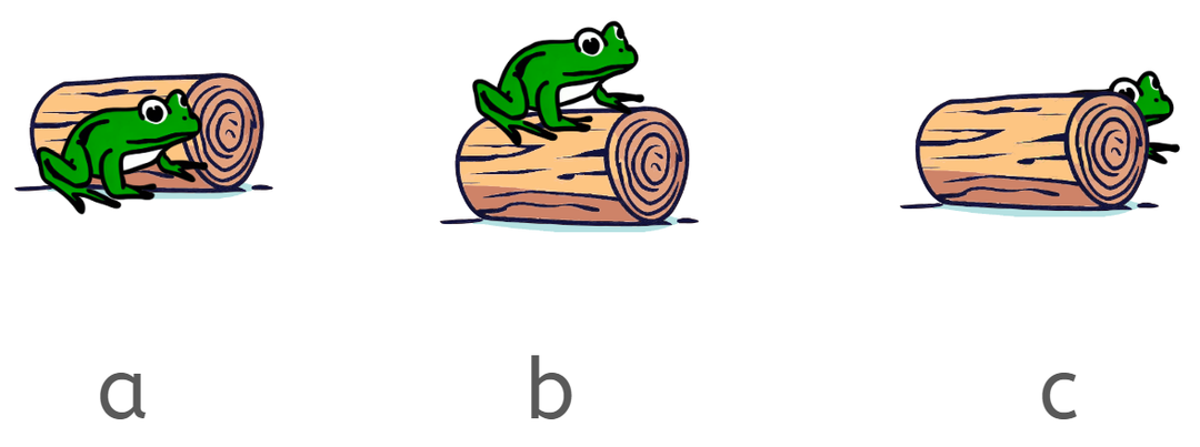 An image in a quiz