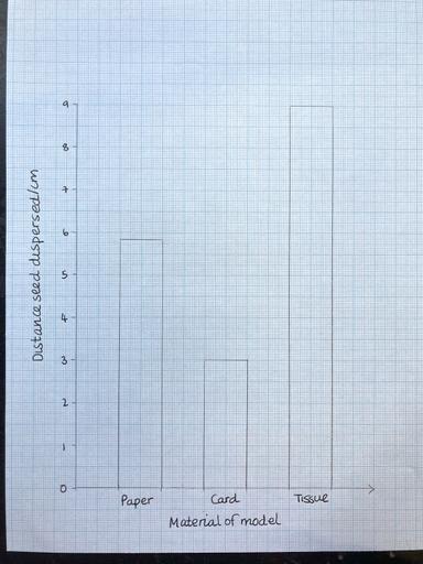 An image in a quiz
